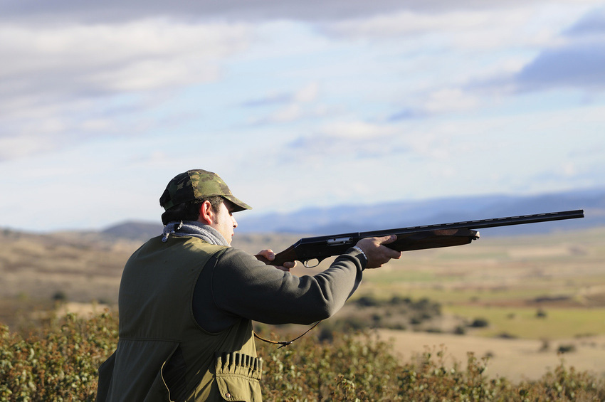 Wild game shooting in Cumbria